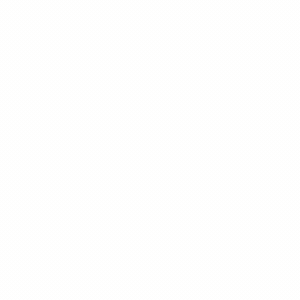 cama  1015 03 gif